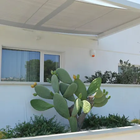 Apartment Lm7 Luxury Sicily Fontane Bianche